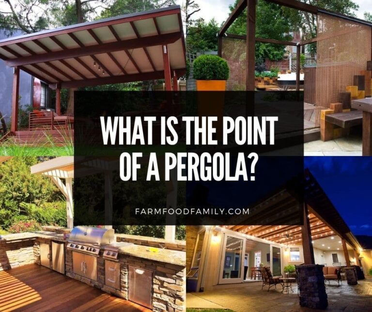 What Is The Point Of A Pergola? (Benefits, Varieties)