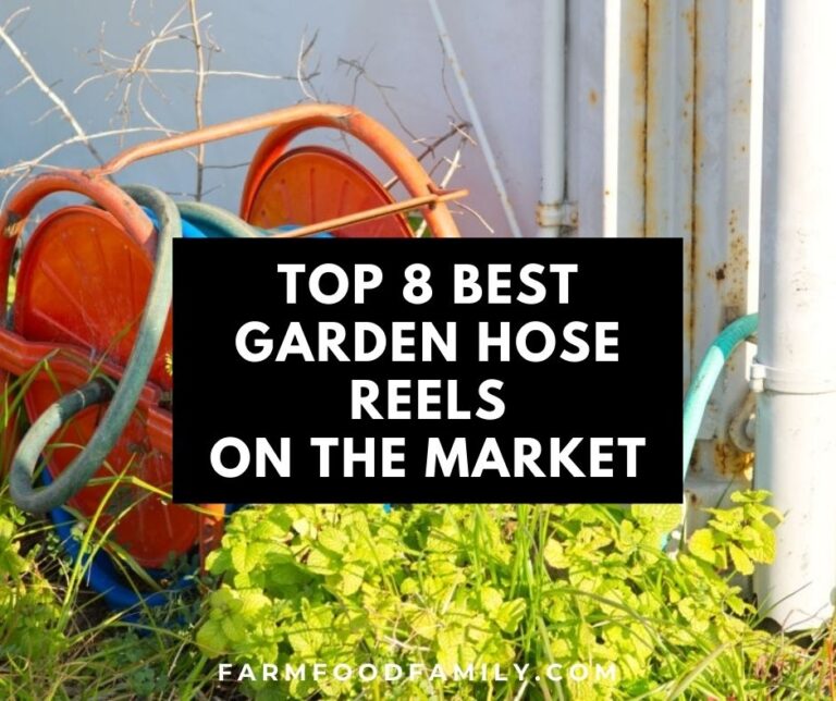Top 8 Best Garden Hose Reels (Reviews and Buying Guide)