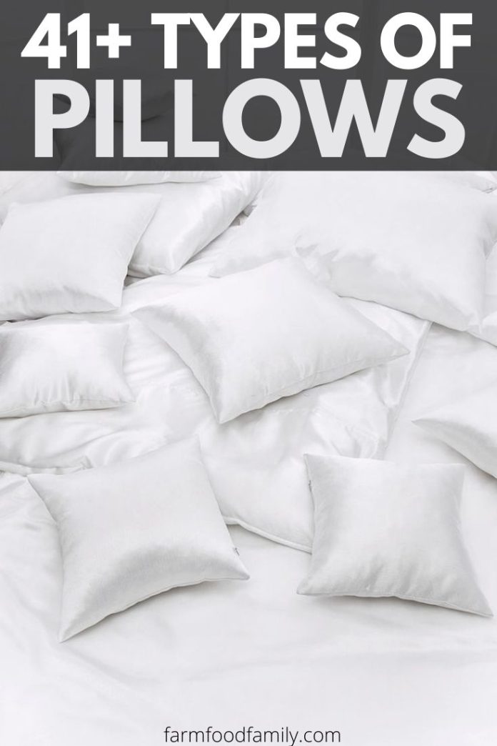 41+ Different Types Of Pillows (Materials, Sizes, Shapes) For Sleeping