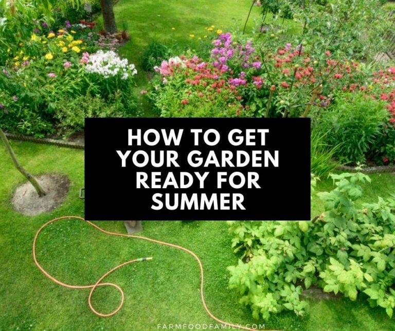 How To Get Your Garden Ready for Summer