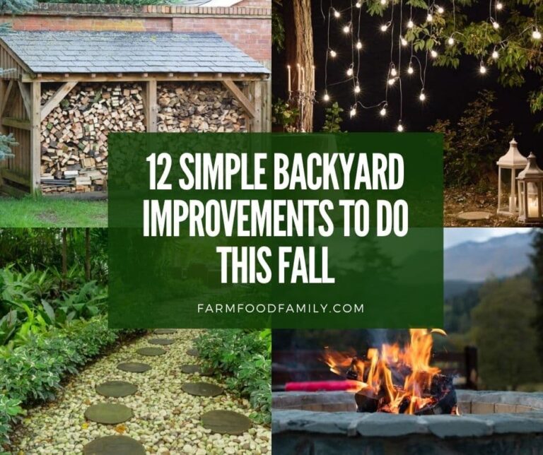 12 Simple Backyard Improvements to Do This Fall