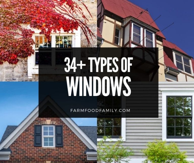 34+ Different Types Of Windows (Styles, Frames) With Pictures