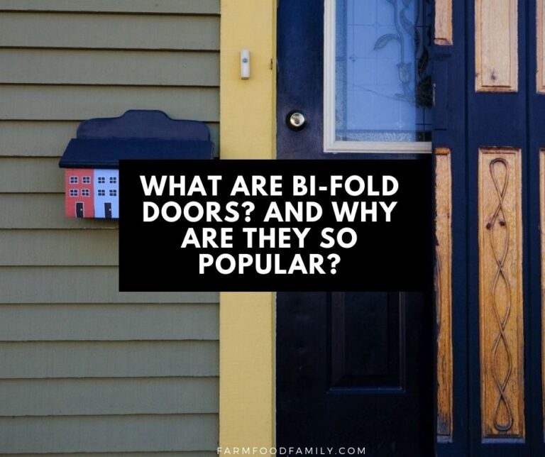 What Are Bi-Fold Doors? And Why Are They So Popular?