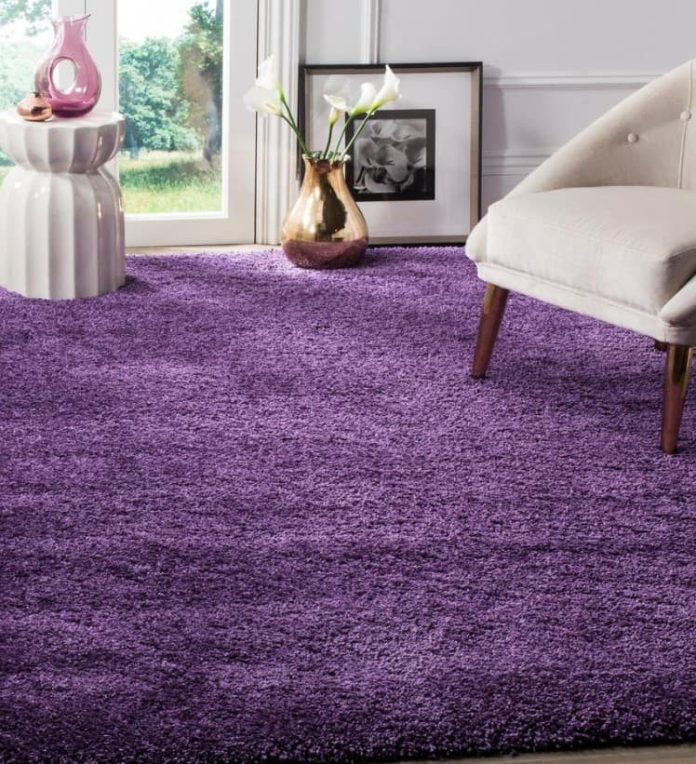 What Is The Best Color Rug for Dark Wood Floors? (25 Ideas)