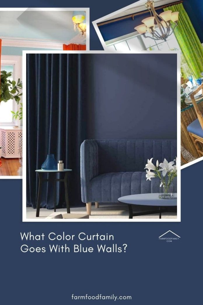 What Color Curtain Goes With Blue Walls? (25 Ideas) - FarmFoodFamily