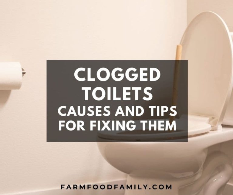 Clogged Toilets 7 Causes and Tips for Fixing Them FarmFoodFamily