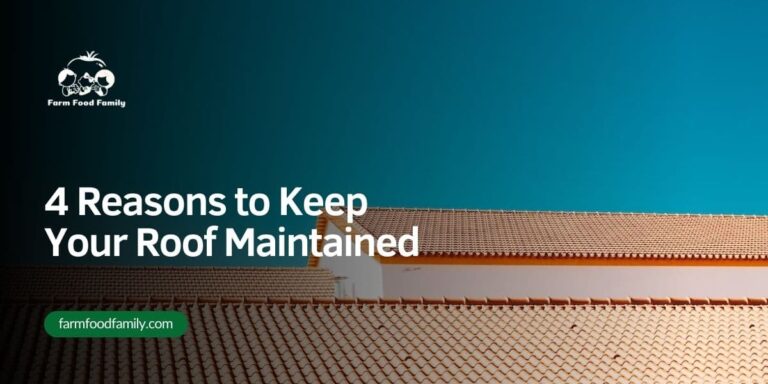 4 Reasons to Keep Your Roof Maintained