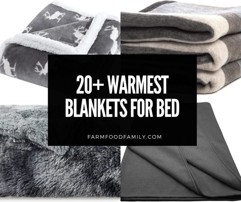 What Is The Warmest Blanket at Ken Marvin blog
