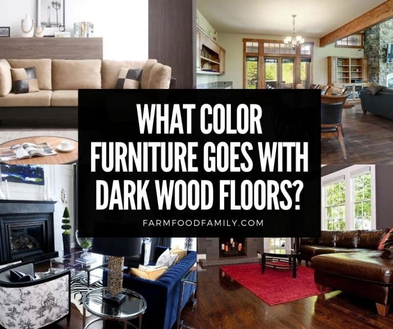 What Color Furniture Goes With Dark Wood Floors? (25 Ideas)