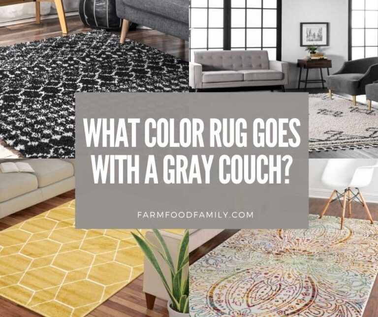 What Color Rug Goes With A Gray Couch? (30 Options)