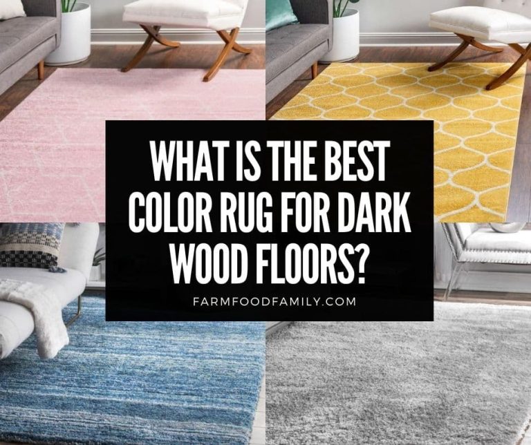 What Is The Best Color Rug for Dark Wood Floors? (25 Ideas)