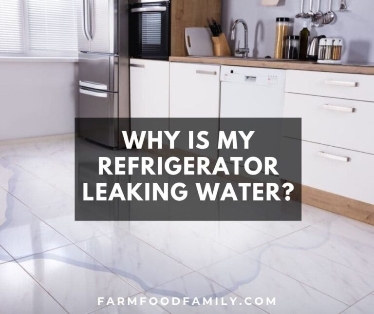 Why Is My Refrigerator Leaking Water? (Here’s How To Fix)