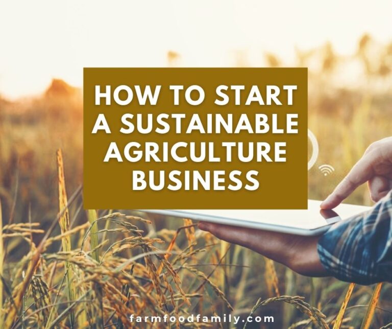 How to Start a Sustainable Agriculture Business