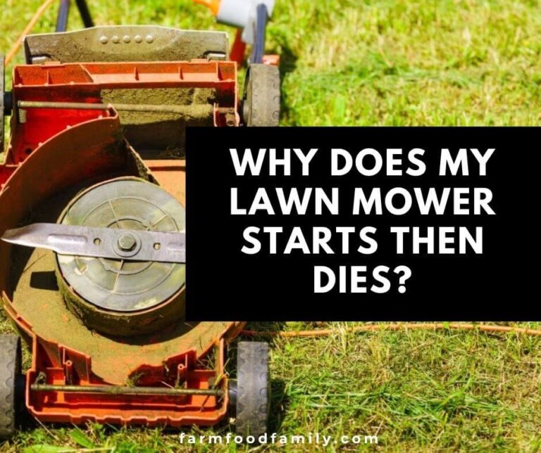 Why Does My Lawn Mower Starts Then Dies? (and How To Fix)