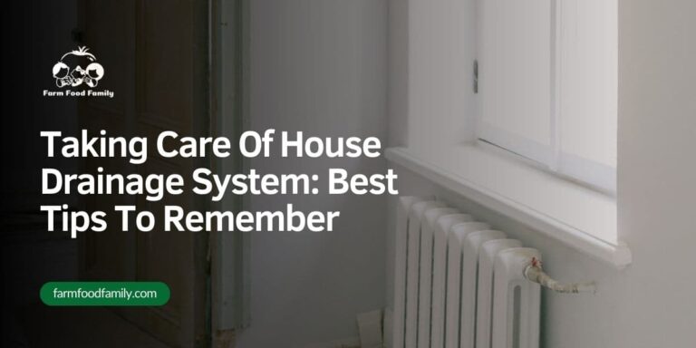 Taking Care Of House Drainage System: Best Tips To Remember