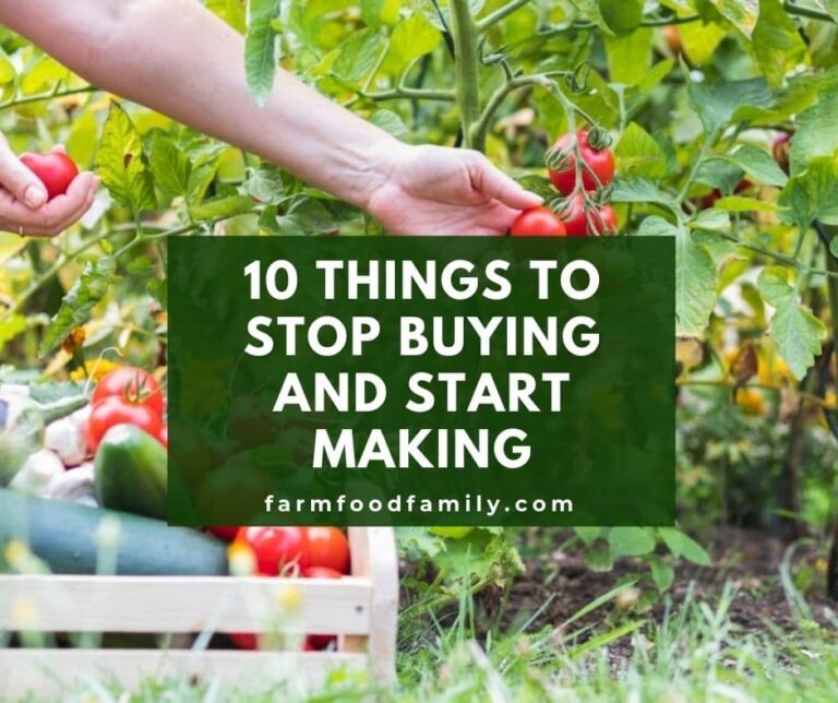 10 Things to Stop Buying and Start Making