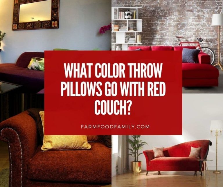 What Color Throw Pillows Go With Red Couch? (15+ Ideas)
