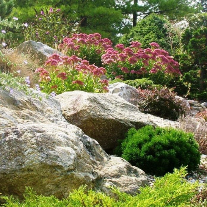 35+ Beautiful Rock Garden Ideas and Designs (With Pictures)