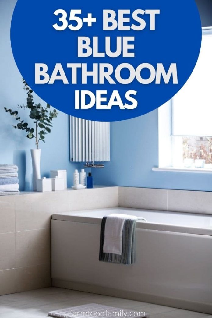 35+ Best Blue Bathroom Ideas and Designs For 2024 (With Pictures)