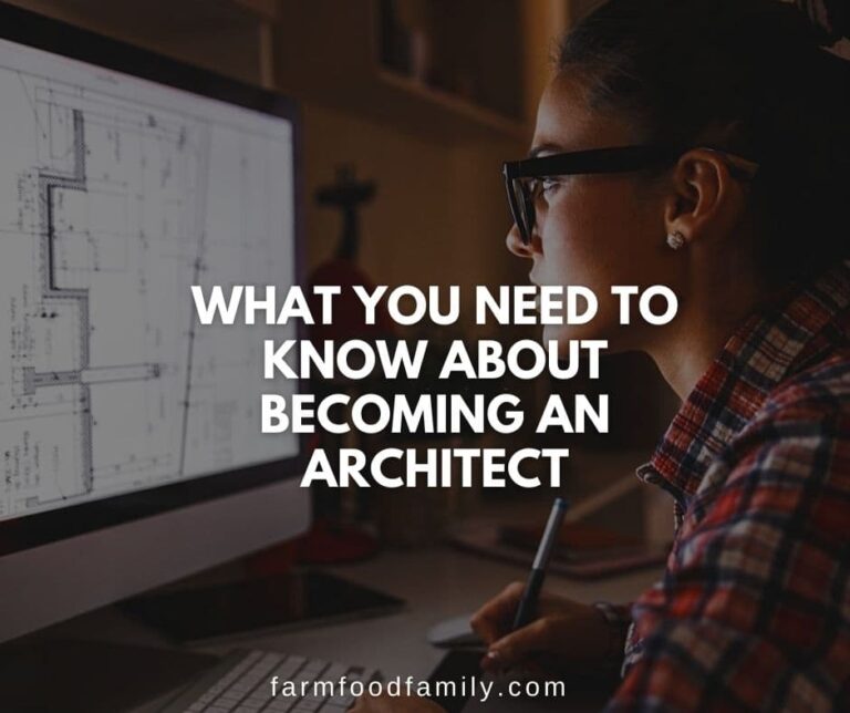 What You Need to Know About Becoming an Architect
