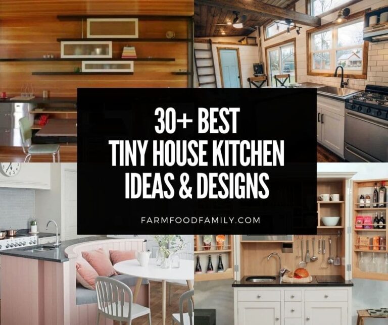 30+ Best Tiny House Kitchen Ideas and Designs (With Photos)