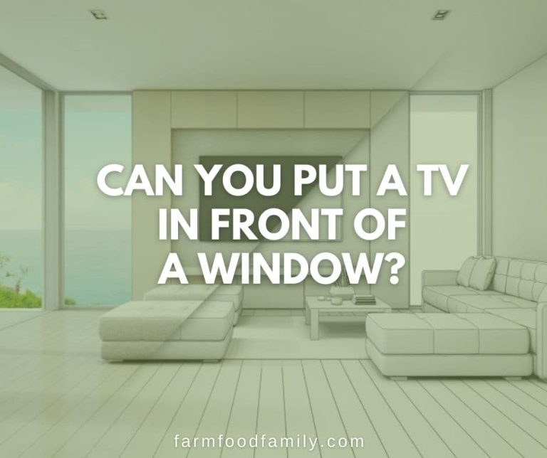 Can You Put A TV In Front of a Window? The Answer Might Surprise You!