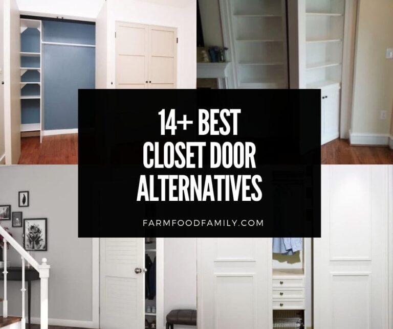 14+ Best Closet Door Alternatives With Pictures (Pros and Cons)