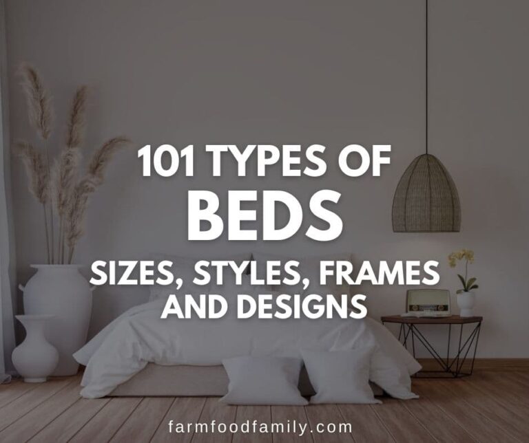 101+ Different Types of Beds: Which is Perfect for You?