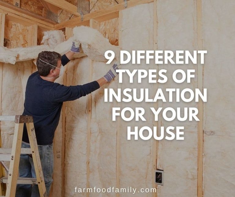 9 Different Types Of Insulation For Your House (Buying Guide)