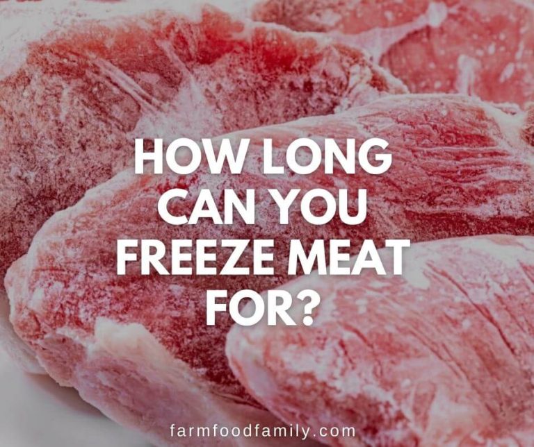 How Long Can You Freeze Meat For? FarmFoodFamily