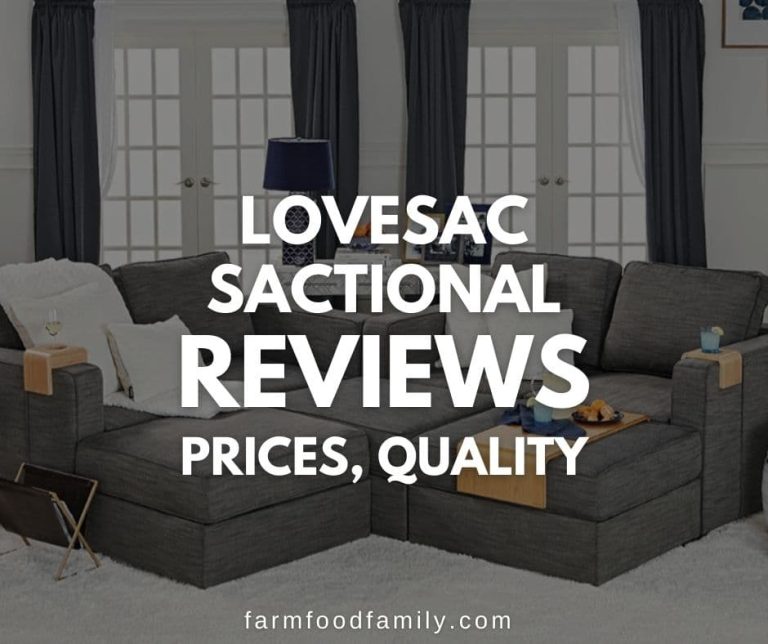 Lovesac Sactional Reviews Pros and Cons, Price, Quality (2024)