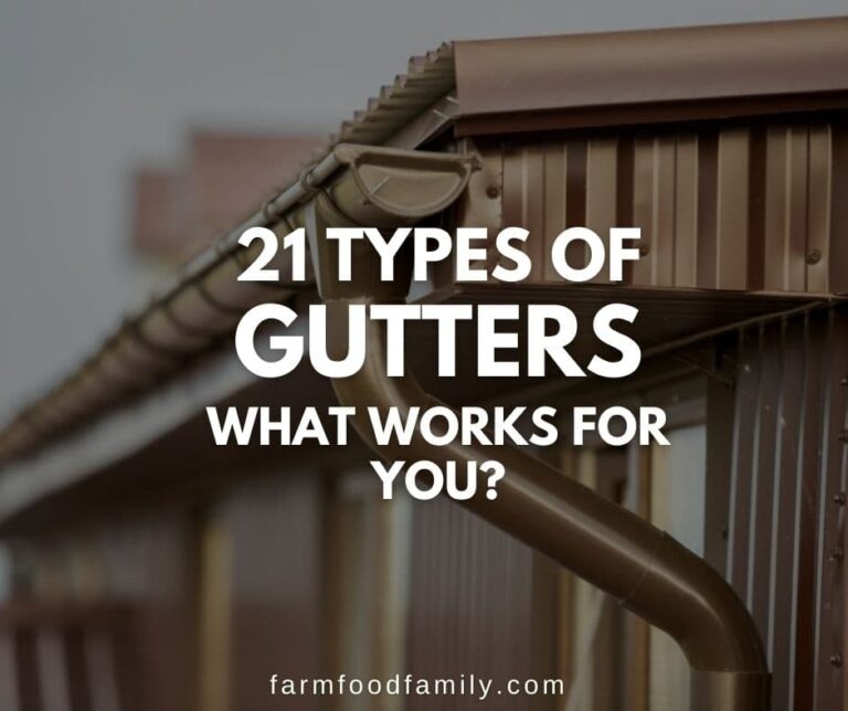 21 Different Types of Gutters to Consider for Your Home (With Pictures)