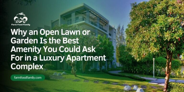 Why an Open Lawn or Garden Is the Best Amenity You Could Ask For in a Luxury Apartment Complex