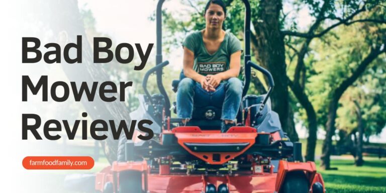 Bad Boy Mower reviews