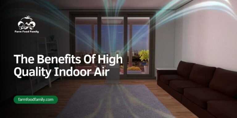 The Benefits Of High Quality Indoor Air