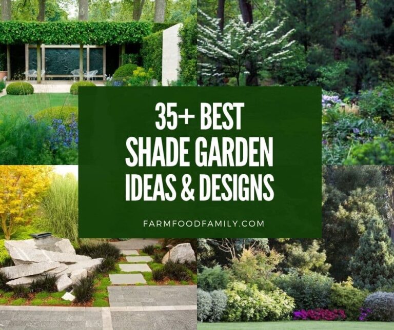 35+ Beautiful Shade Garden Ideas and Designs (Photos)