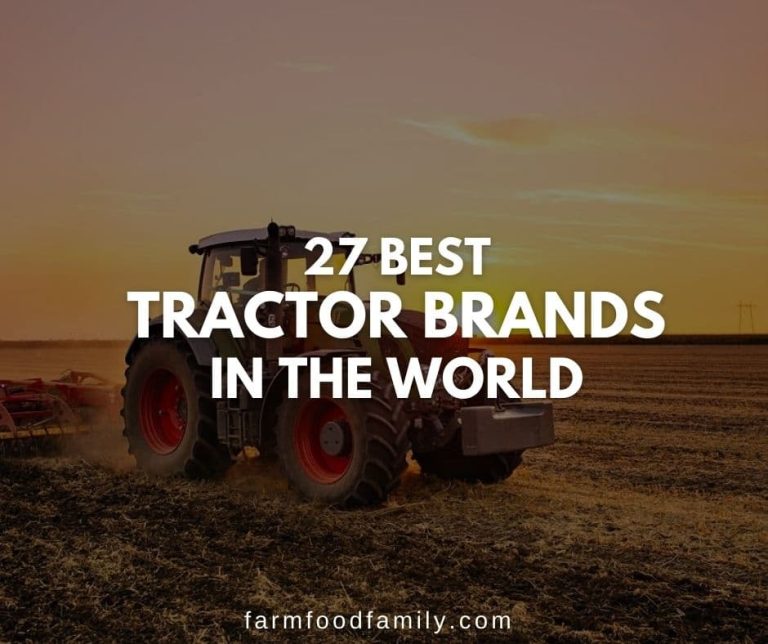 The Top 27 Best Tractor Brands in the World FarmFoodFamily
