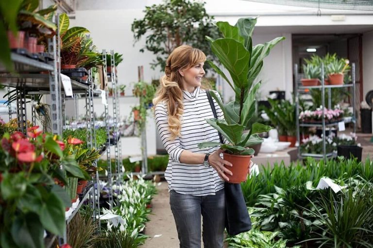 16 Best Places To Buy Plants Online & Buying Tips (2024)