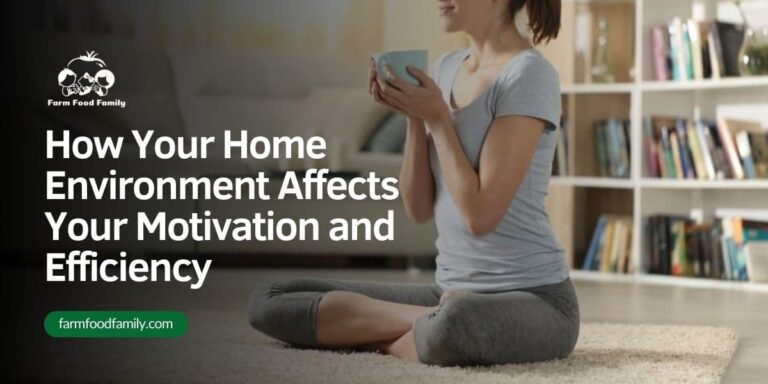 How Your Home Environment Affects Your Motivation and Efficiency
