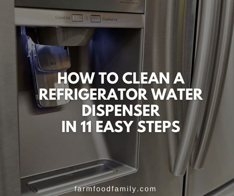 How to Clean a Refrigerator Water Dispenser in 11 Easy Steps