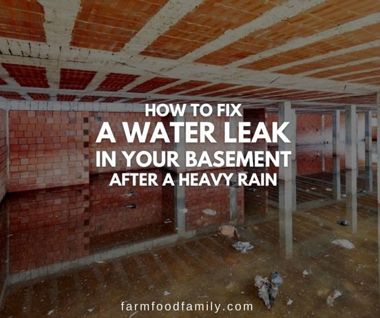 How to Fix a Water Leak in Your Basement After a Heavy Rain