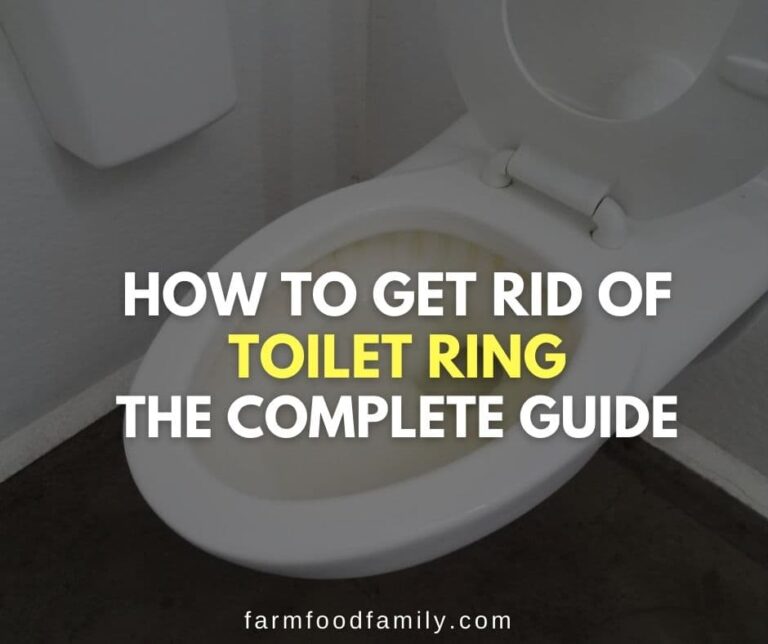 How to Get Rid of Toilet Ring: The Complete Guide (18 Methods)