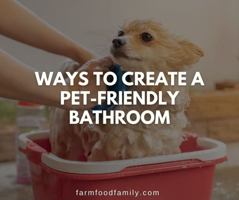 11 Ways to Create a Pet-Friendly Bathroom