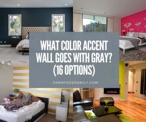 What Color Accent Wall Goes with Gray? (16 Options) - FarmFoodFamily