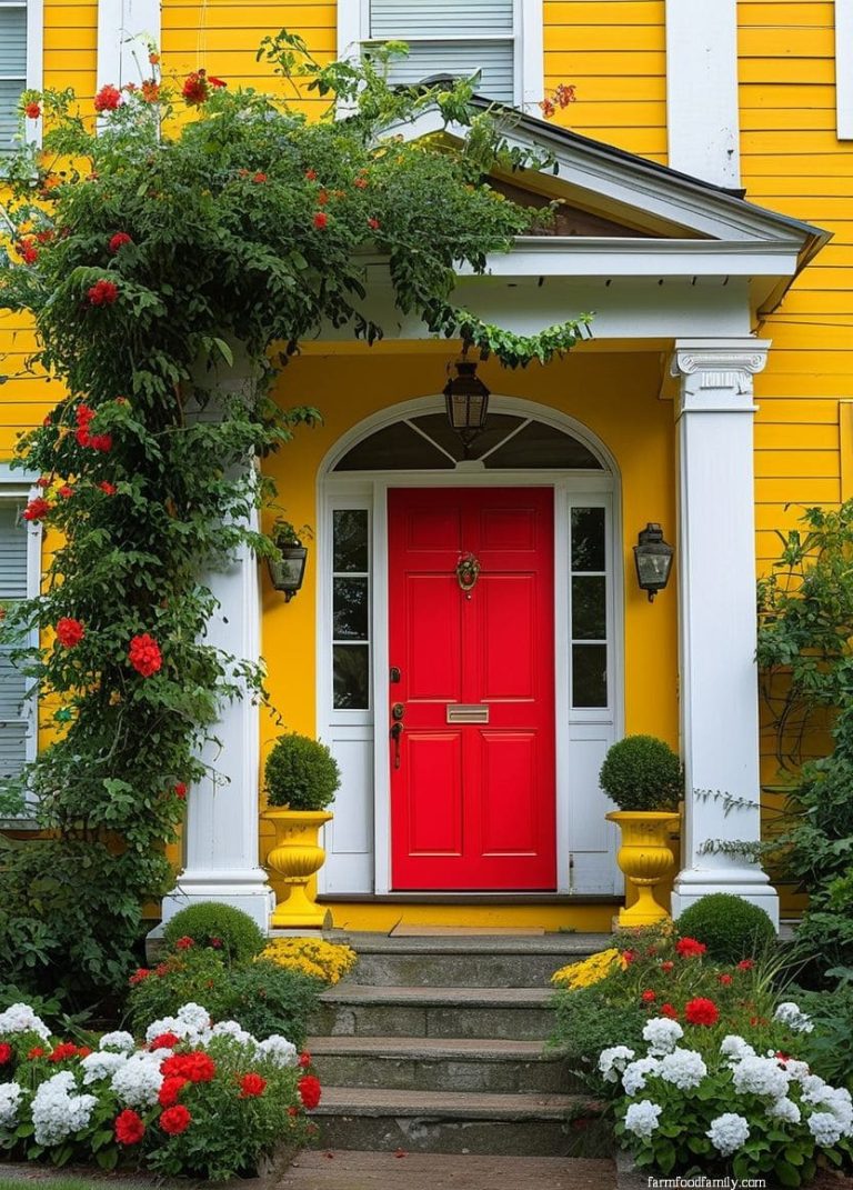 45 Best Front Door Colors For A Yellow House (Ideas and Designs)