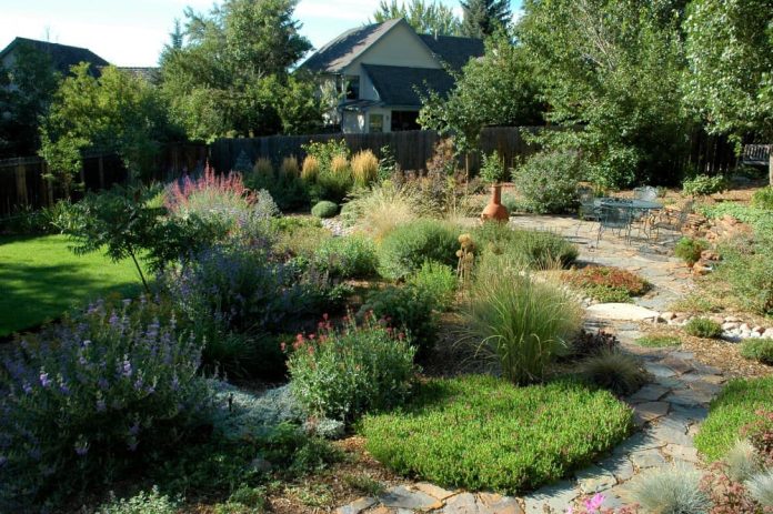 7 Stunning Colorado Backyard Landscaping Ideas and Designs (Photos)