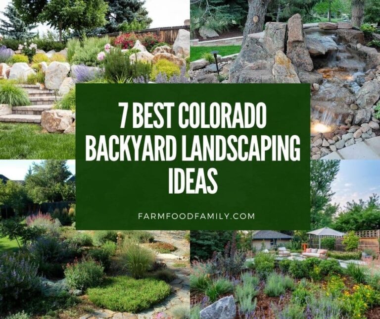 12 Stunning Colorado Backyard Landscaping Ideas and Designs (Photos)