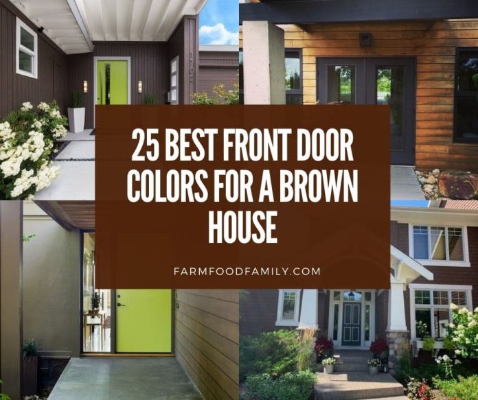 25 Best Front Door Colors For A Brown House (Ideas and Designs) 2023