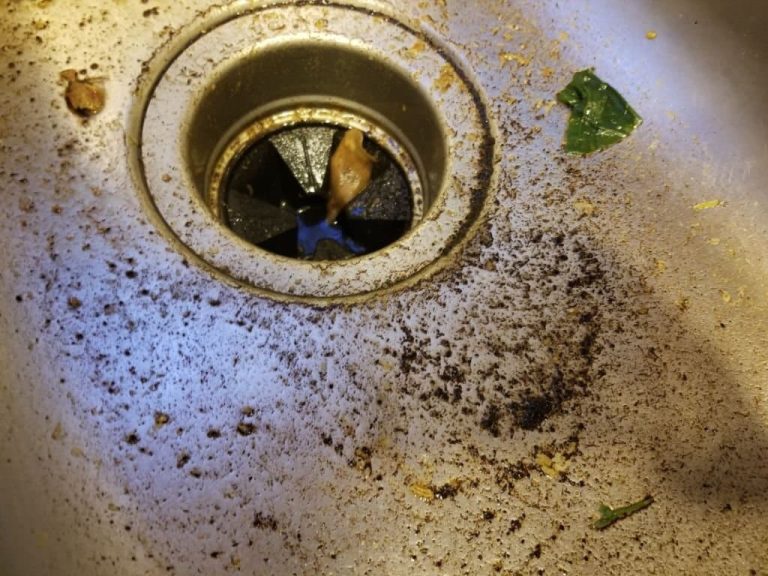 Can You Put Coffee Grounds Down The Sink Or Garbage Disposal?