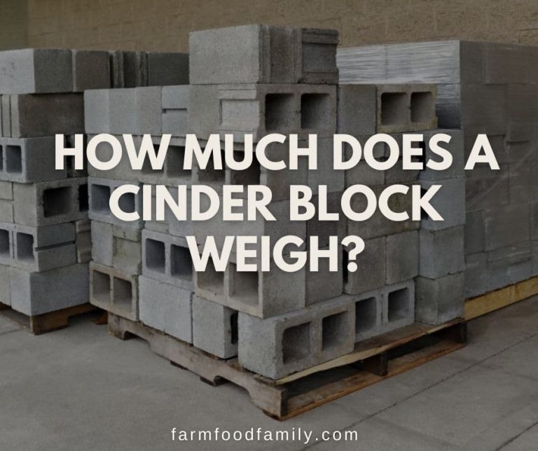 How Much Does a Cinder Block Weigh? The Answer Might Surprise You!